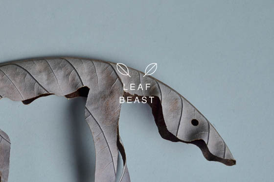 Leaf Beast: Minimal Animal Sculpture Made Out of Magnolia Leaves