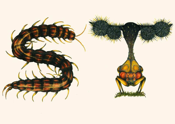 Unusual Insect Alphabet by Paula Duță