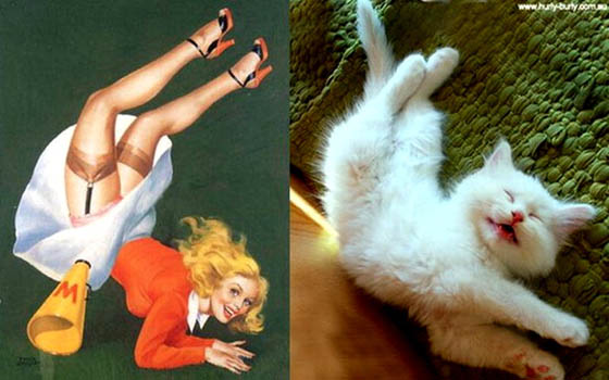 Hilarious Pictures of Cats Poses Like Pin-Up Girls