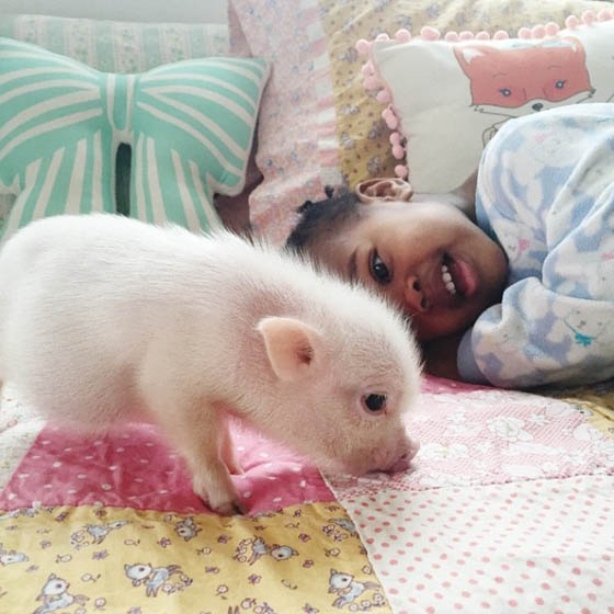 Heart Warming Photography of A 2-Year-Old Girl and Her 3-Month-Old Piglet