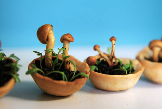 Edible Growth: 3D-printed Snacks that Sprout Plants and Mushrooms