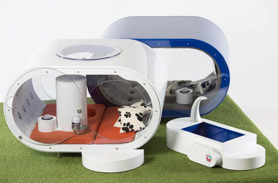 Samsung dream doghouse: the Most Suitable and Luxurious Doghouse