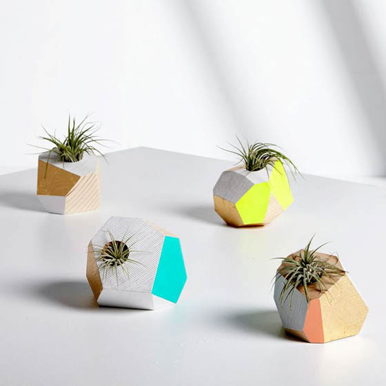 8 Cool Table Planters to Green Your Table