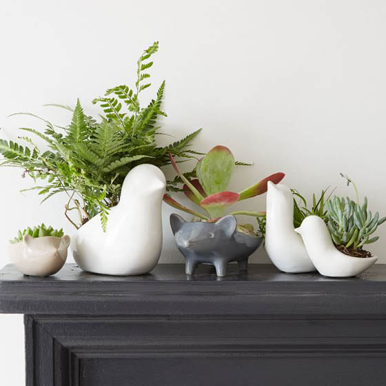 8 Cool Table Planters to Green Your Table