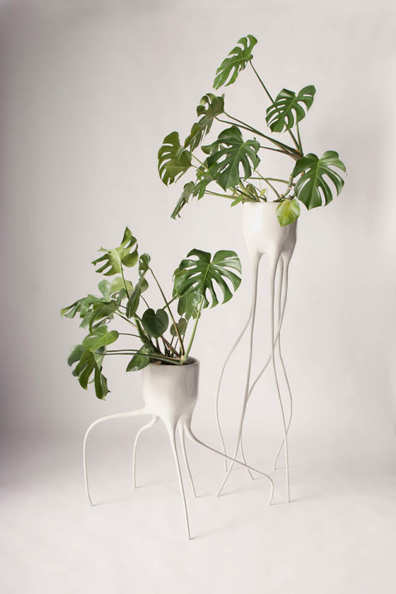 8 Cool Table Planters to Green Your Table