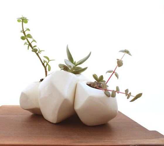 8 Cool Table Planters to Green Your Table