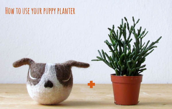 Adorable AnimalPlanters: Turn Your Flower Pots Into Cute Animals