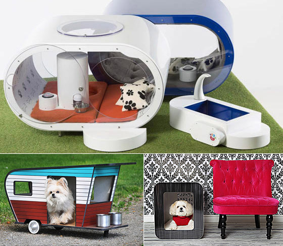 Dream doghouse best sale