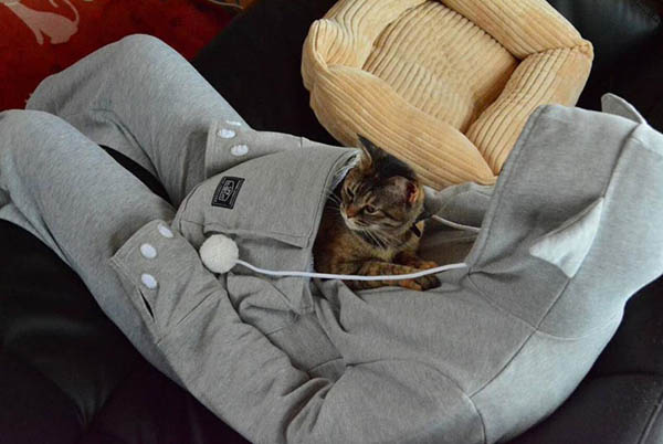 Cat Hoodie: If You Want Take Your Cat Wherever You Go