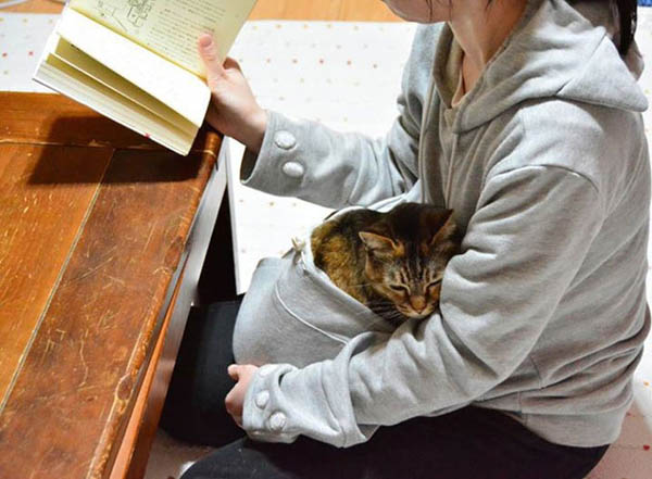 Cat Hoodie: If You Want Take Your Cat Wherever You Go