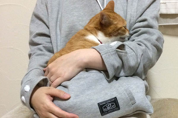 Cat Hoodie: If You Want Take Your Cat Wherever You Go