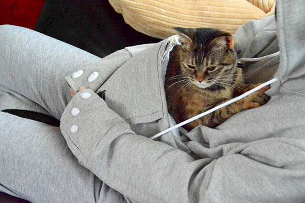Cat Hoodie: If You Want Take Your Cat Wherever You Go