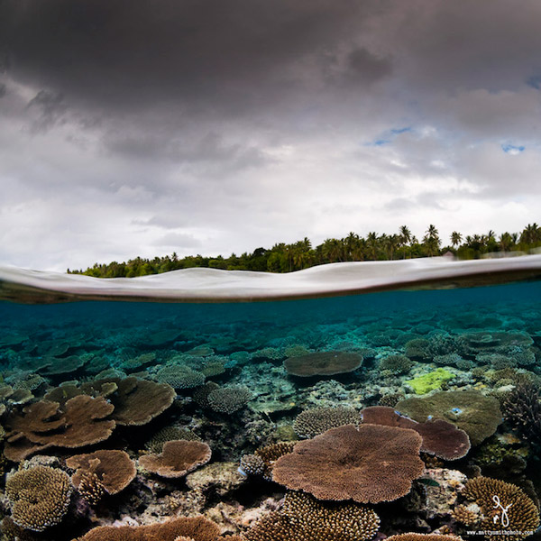 Stunning Photography Simultaneously Captures Life Above And Under See Level