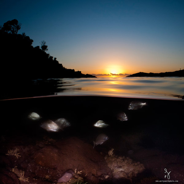 Stunning Photography Simultaneously Captures Life Above And Under See Level