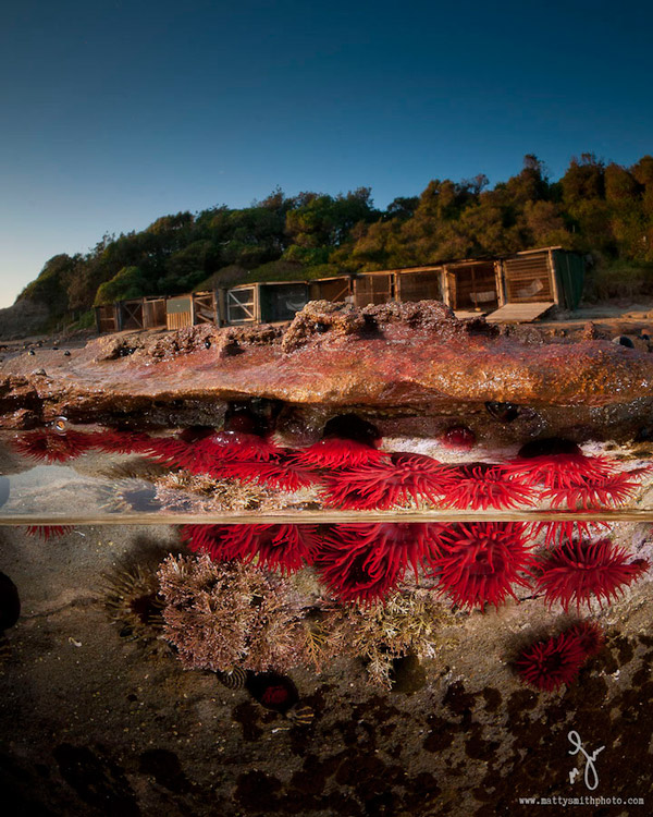 Stunning Photography Simultaneously Captures Life Above And Under See Level