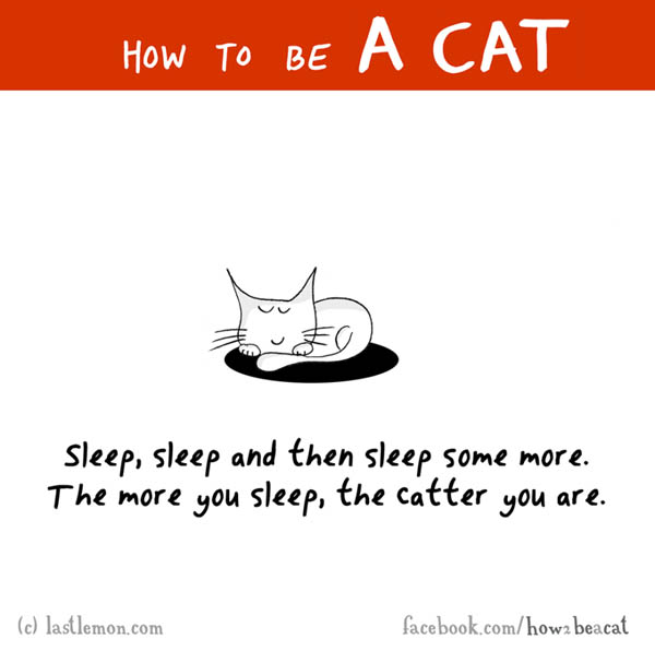 How To Be a Cat by Lisa Swerling and Ralph Lazar