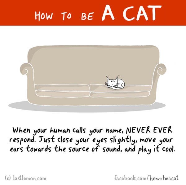 How To Be a Cat by Lisa Swerling and Ralph Lazar