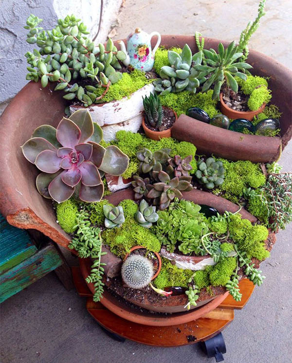 Fairy Gardens Made From Broken Planter