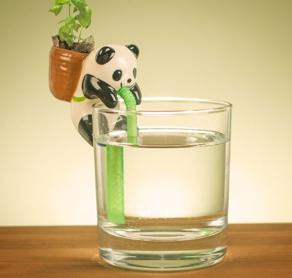 11 Adorable Panda Inspired Products