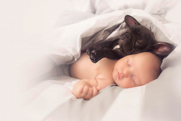 Heartwarming Photos of Baby and Bulldog
