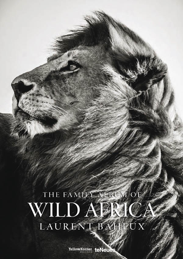 Stunning Black & White Photography of Africa's Animals