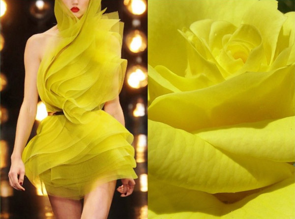 Fashion & Nature: How Fashion Designer Get Inspired by Mother Nature