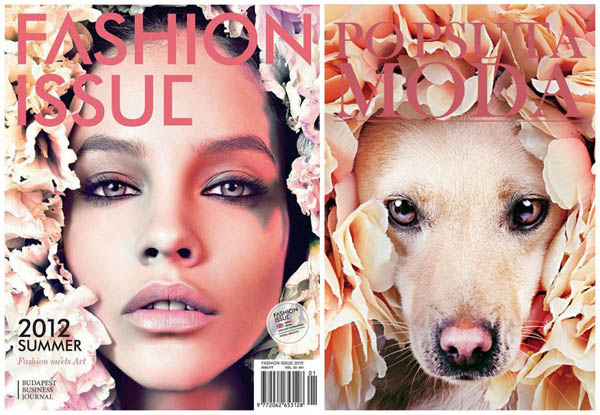 Help Shelter Animals: Creative Campaign Converting Homeless Dogs into Fashion Models on Magazine