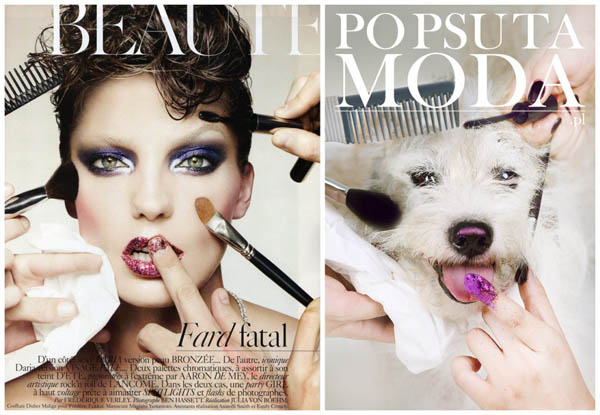 Help Shelter Animals: Creative Campaign Converting Homeless Dogs into Fashion Models on Magazine