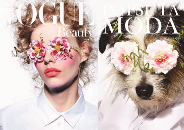 Help Shelter Animals: Creative Campaign Converting Homeless Dogs into Fashion Models on Magazine