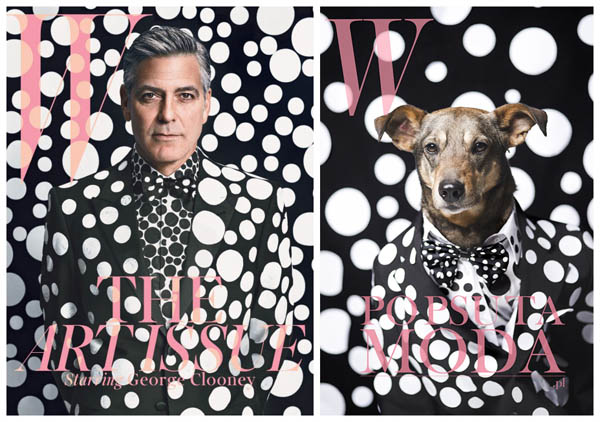 Help Shelter Animals: Creative Campaign Converting Homeless Dogs into Fashion Models on Magazine