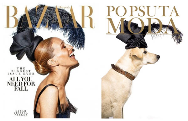 Help Shelter Animals: Creative Campaign Converting Homeless Dogs into Fashion Models on Magazine