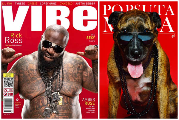 Help Shelter Animals: Creative Campaign Converting Homeless Dogs into Fashion Models on Magazine