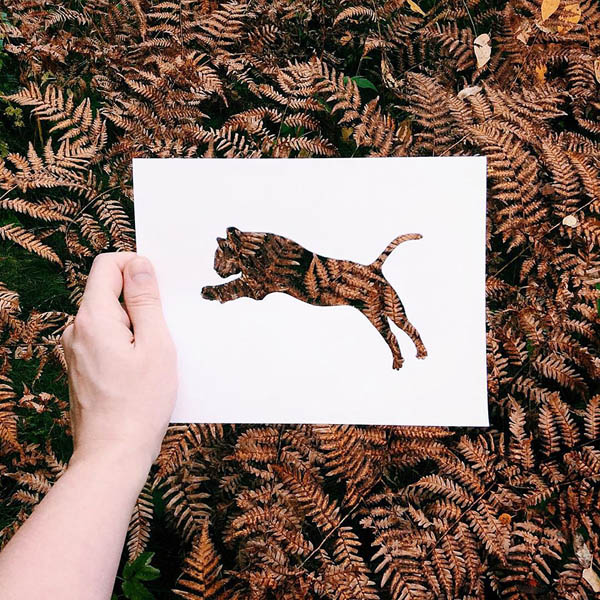 Creative Animal Paper Cutouts Colored with Nature Scenes