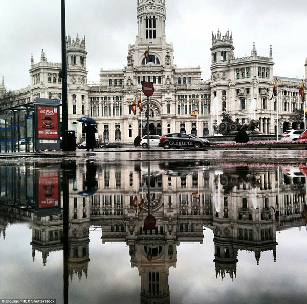 World in the Puddles by Guido Gutiérrez Ruiz