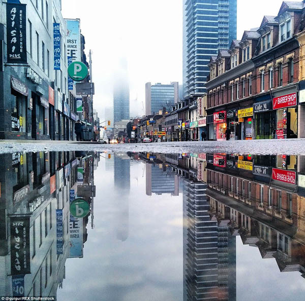 World in the Puddles by Guido Gutiérrez Ruiz