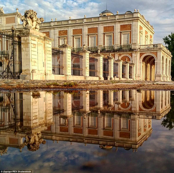 World in the Puddles by Guido Gutiérrez Ruiz