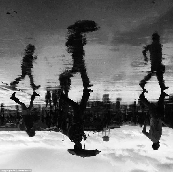 World in the Puddles by Guido Gutiérrez Ruiz