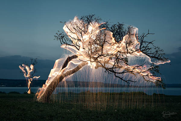 Tree of Life: Stunning Long Exposure Light Painted Trees by Vitor Schietti