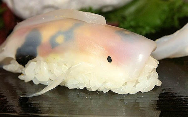 Fish Like Sushi, New Sushi Trend in Japan