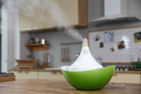 10 Cool and Stylish Oil Diffusers