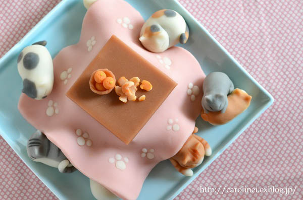 Adorable Candy Cats Set