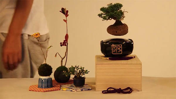 Air Bonsai: Grow and Nature Your Floating Little Star