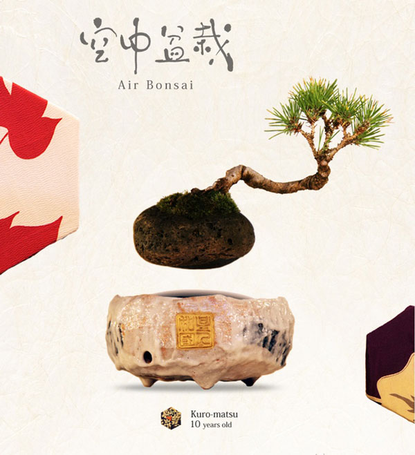 Air Bonsai: Grow and Nature Your Floating Little Star