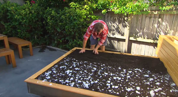 Grass Bed: a Cozy Green Oasis in Your Concrete Backyard