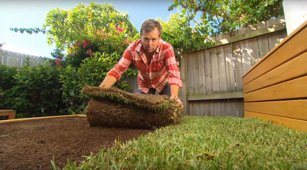 Grass Bed: a Cozy Green Oasis in Your Concrete Backyard