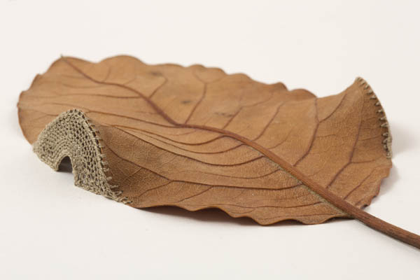 Delicate Crocheted Leaf Sculptures