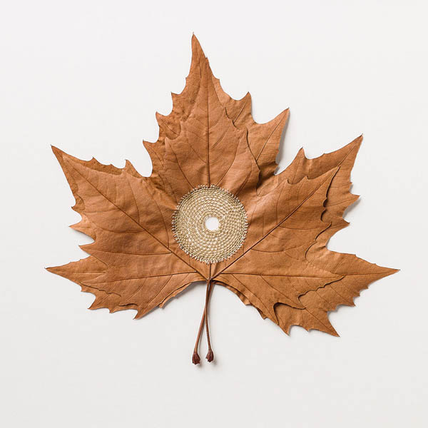 Delicate Crocheted Leaf Sculptures