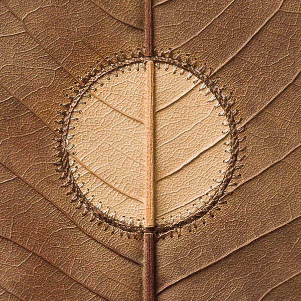 Delicate Crocheted Leaf Sculptures