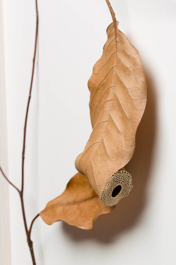 Delicate Crocheted Leaf Sculptures