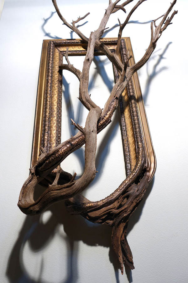 When Dead Tree Fused With Picture Frames, One of the Most Spooky Wall Decor Invented